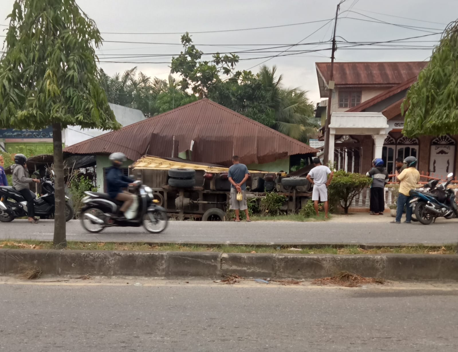 Mobil truck diesel bernomor polisi BK 8835 GK bermuatan rumput ( sodding) terguling