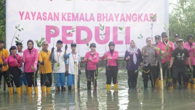 Yayasan Kemala Bhayangkari (YKB) Cabang Polres Pelabuhan Tanjung Perak melakukan aksi nyata pemulihan lahan menanam ratusan bibit pohon mangrove dan bakau