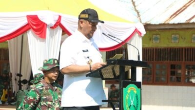 Bupati Aceh Tamiang, Irjen Pol. (Purn) Drs. Armia Pahmi MH