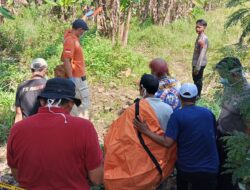 Polsek Prambon Evakuasi Jasad Pria Tanpa Identitas dari Area Sawah Dusun Wonogiri