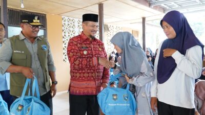 Bupati Aceh Tamiang, Irjen Pol. (Purn) Drs. Armia Pahmi, M.H