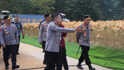 Polri bersama petani jagung dan gabungan kelompok tani (Gapoktan) di Kabupaten Tuban bersiap menyambut rencana kehadiran Presiden RI