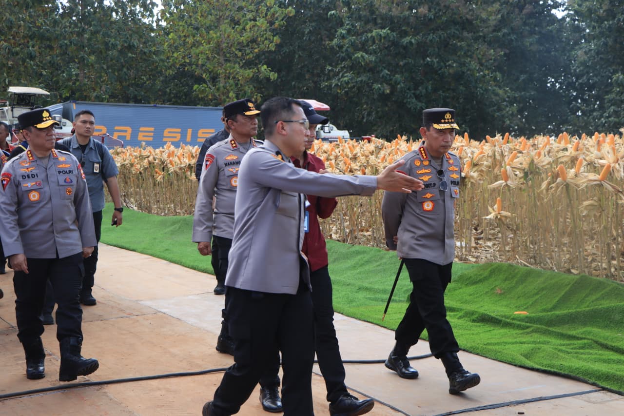 Polri bersama petani jagung dan gabungan kelompok tani (Gapoktan) di Kabupaten Tuban bersiap menyambut rencana kehadiran Presiden RI