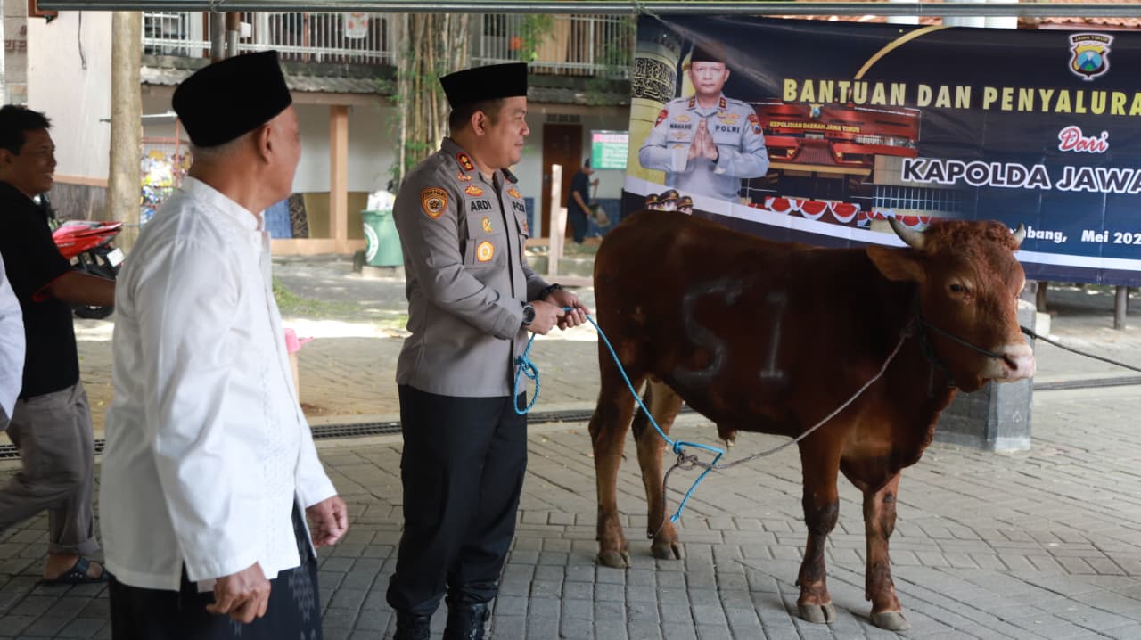Hari Raya Iduladha 1447 Hijriah, Kapolres Jombang, AKBP Ardi Kurniawan menyerahkan dua ekor sapi kurban bantuan Kapolda Jawa Timur Irjen Pol Nanang Avianto