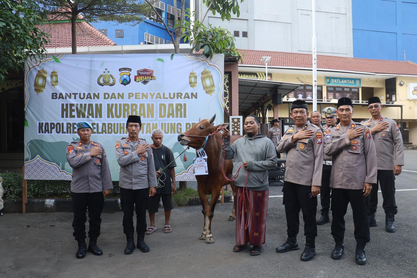 Hari Raya Iduladha 1447 H, Polres Pelabuhan Tanjung Perak menggelar aksi sosial dengan menyalurkan hewan kurban kepada masyarakat.