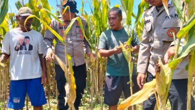 Melalui program P2B, Polresta Sidoarjo Polda Jatim berharap lahan-lahan produktif di wilayah Sidoarjo dapat dimanfaatkan secara maksimal untuk mendukung ketahanan pangan