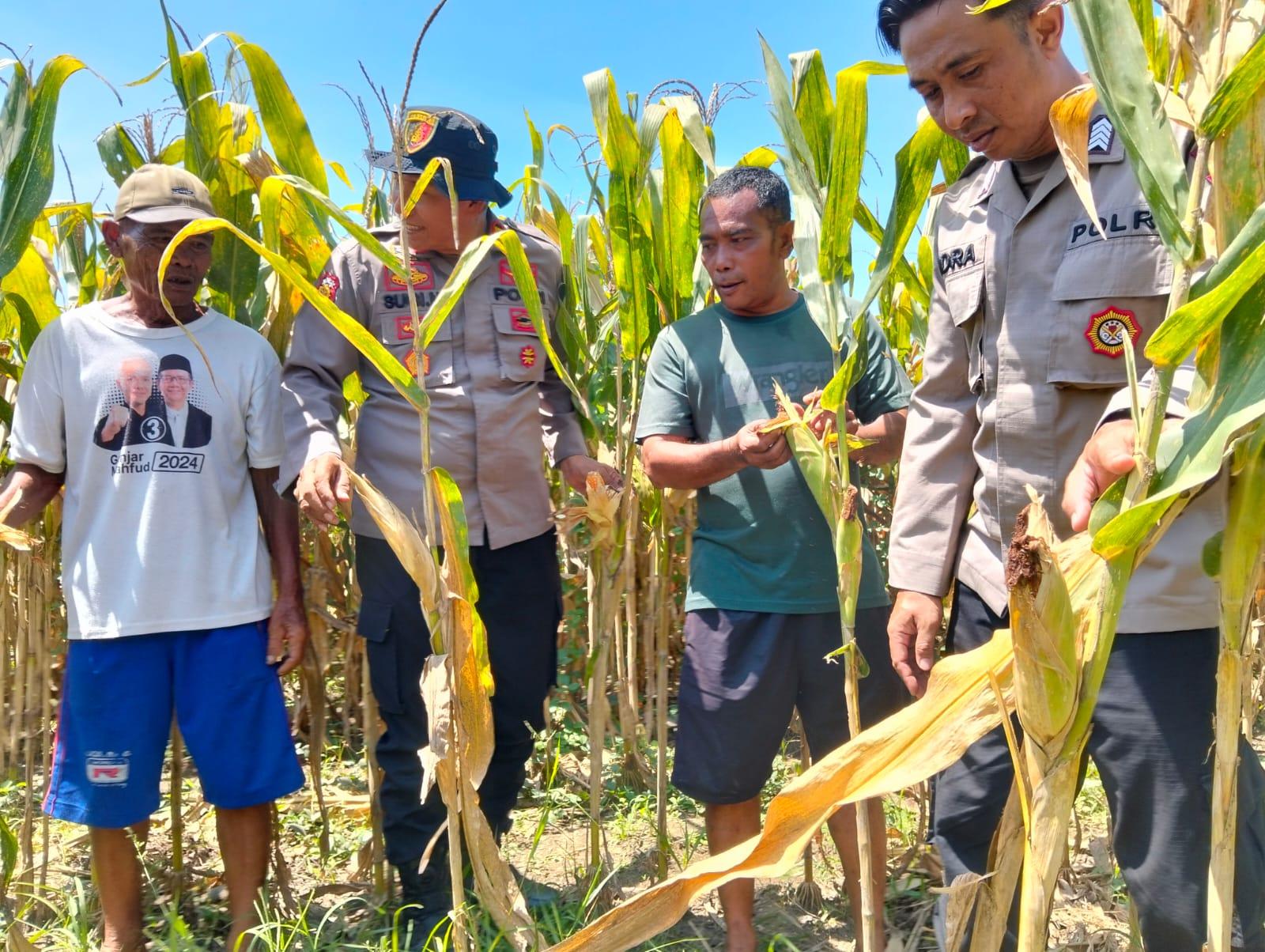 Melalui program P2B, Polresta Sidoarjo Polda Jatim berharap lahan-lahan produktif di wilayah Sidoarjo dapat dimanfaatkan secara maksimal untuk mendukung ketahanan pangan