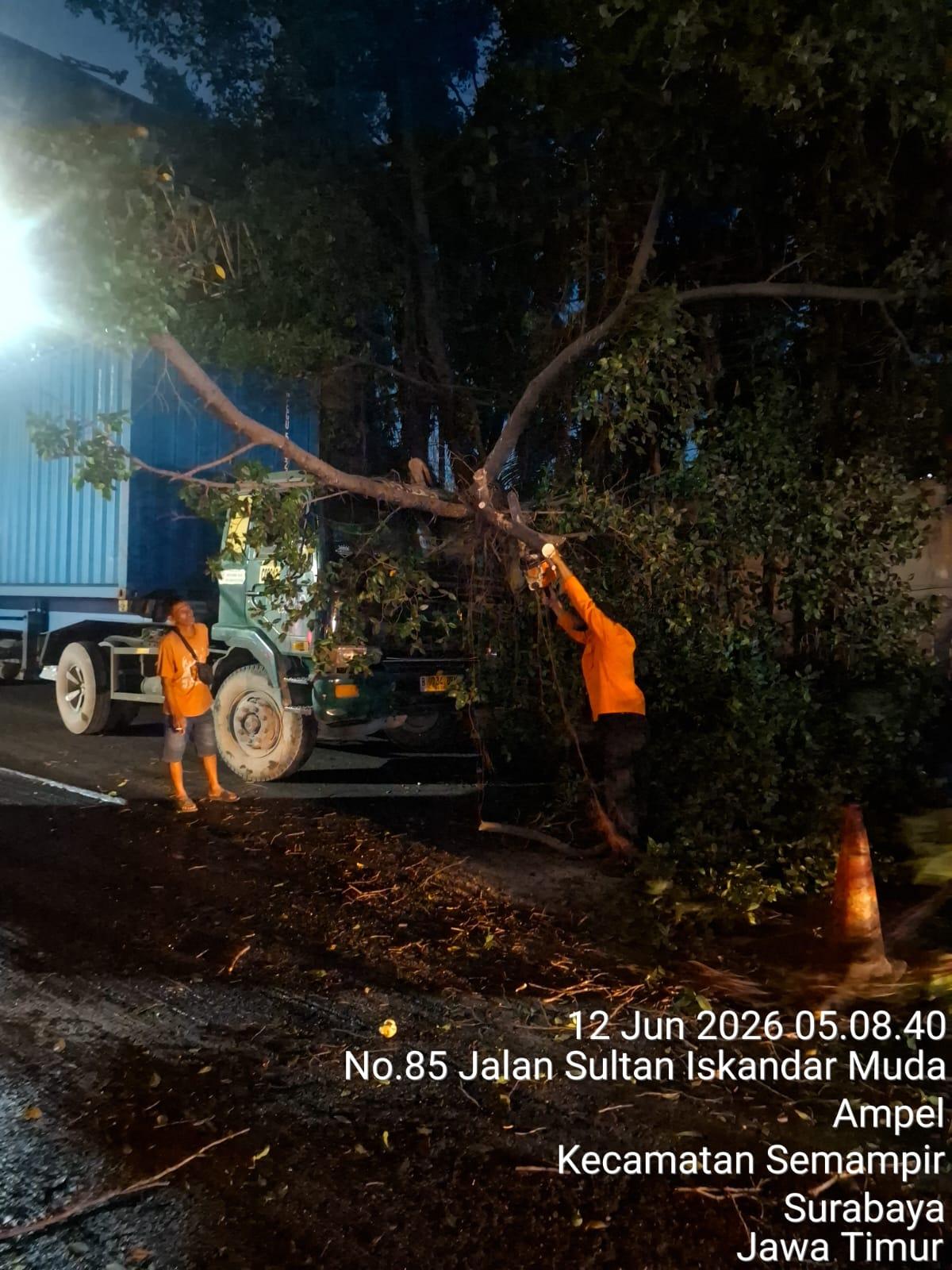 Kecelakaan tunggal melibatkan truk kontainer dengan nomor polisi B 9734 BEH hantam pohon di Jalan Sawah Pulo, Kecamatan Semampir, Surabaya
