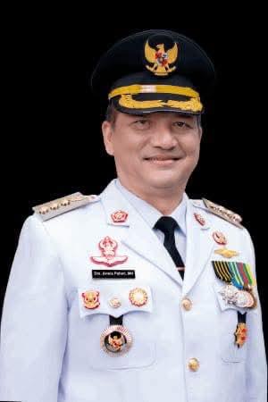Bupati Aceh Tamiang, Irjen Pol. (Purn) Drs. Armia Pahmi MH