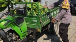 Panen Buah, Polres Pelabuhan Tanjung Perak Perkuat Ketahanan Pangan Lewat Hortikultura Pisang