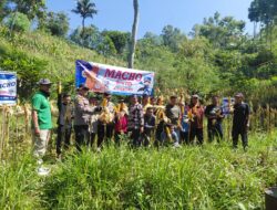 Polres Pacitan Genjot Produktivitas Jagung di Bandar, Dampingi Petani dan Evaluasi Kualitas Benih