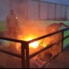 Respon Cepat Laporan Warga, Polresta Sidoarjo Bongkar Lokasi Diduga Sabung Ayam