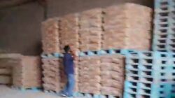 Fasilitas Gudang