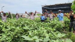 Polres Pelabuhan Tanjungperak Polda Jatim juga terus berkomitmen peduli terhadap kesejahteraan warga salah satunya melalui swasembada pangan.