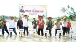 Sinergi Pasca-Bencana, Bupati Aceh Tamiang Siap Perkuat Ketahanan Pangan dan Bangkitkan Petani