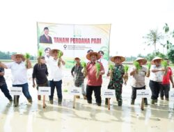 Sinergi Pasca-Bencana, Bupati Aceh Tamiang Siap Perkuat Ketahanan Pangan dan Bangkitkan Petani