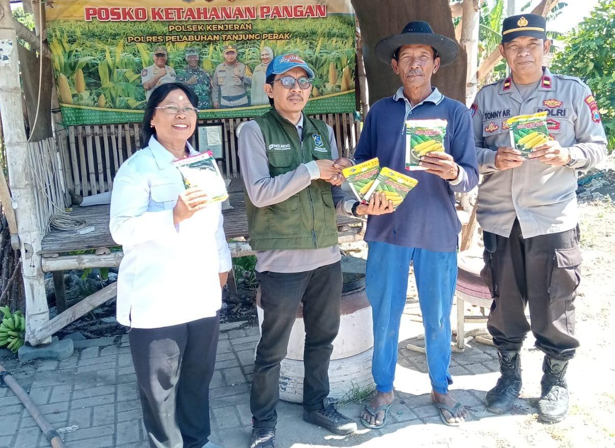 Posko Ketahanan Pangan Polres Pelabuhan Tanjung Perak, Polsek Kenjeran lahan jagung Kelurahan Tambak Wedi