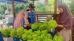 Bhabinkamtibmas Kelurahan Perak Barat, Polsek Krembangan, Polres Pelabuhan Tanjung Perak turun langsung membantu Kelompok Wanita Tani (KWT) Dorang Cinta memanen sayur sawi