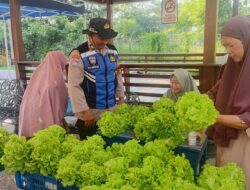 Dukung Ketahanan Pangan, Polsek Krembangan Panen Sawi Hidroponik Bersama KWT Dorang Cinta