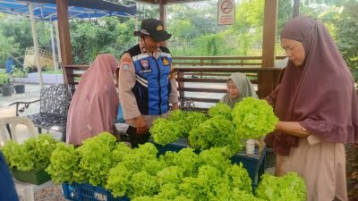 Dukung Ketahanan Pangan, Polsek Krembangan Panen Sawi Hidroponik Bersama KWT Dorang Cinta