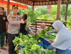 Polres Pelabuhan Tanjung Perak Panen Sawi Caisin Hidroponik, Wujud Nyata Dukung Ketahanan Pangan Nasional