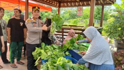 Polres Pelabuhan Tanjung Perak Panen Sawi Caisin Hidroponik, Wujud Nyata Dukung Ketahanan Pangan Nasional