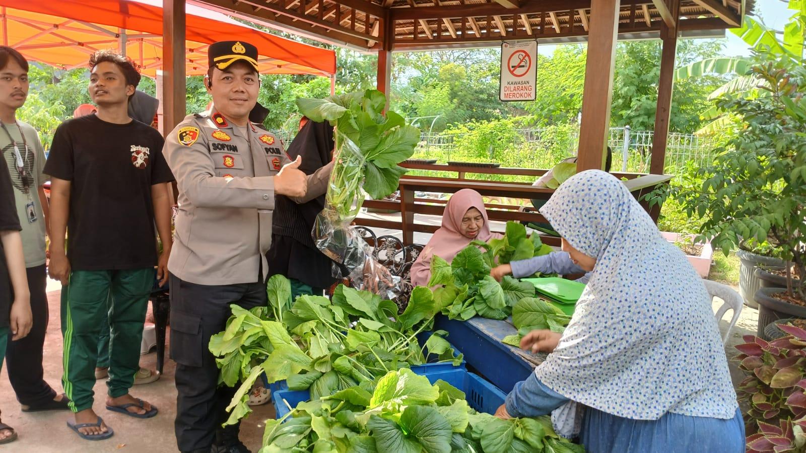 Polres Pelabuhan Tanjung Perak melalui berbagai kegiatan produktif diwujudkan melalui kegiatan panen sayur sawi caisin hidroponik