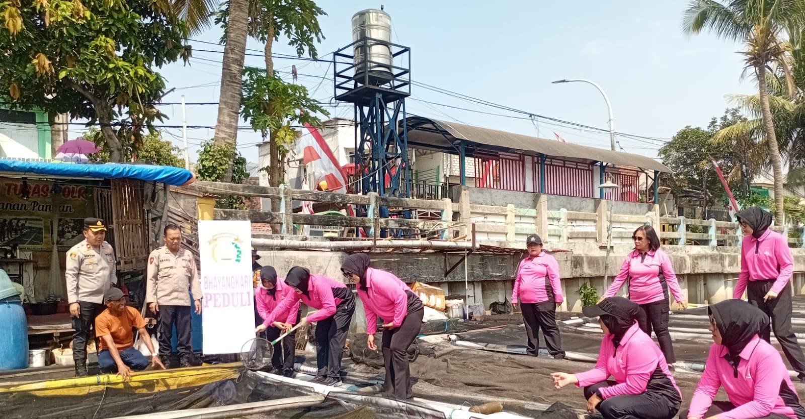 Ketahanan pangan di tengah masyarakat terus dilakukan Polsek Krembangan. Tidak hanya mendorong budidaya sayuran, tapi mengembangkan sektor perikanan dengan menebar benih ikan lele di kolam warga.