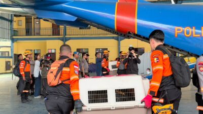 Polri Kerahkan 10 K9 SAR Berpengalaman ke Flores, Misi Pencarian Korban