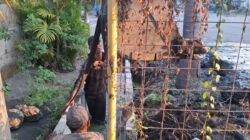 Potret Buram Proyek Teluk Kumai Barat Pekerja Bertaruh Nyawa, Pokmas Tanjung Perak Peduli Diduga Culas “Potong Kompas” Kencingi Aturan K3