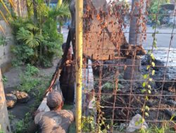 Potret Buram Proyek Teluk Kumai Barat Pekerja Bertaruh Nyawa, Pokmas Tanjung Perak Peduli Diduga Culas “Potong Kompas” Kencingi Aturan K3