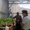 Dukung Asta Cita, Polres Pelabuhan Tanjung Perak Berdayakan Kelompok Tani Tanam Golden Melon