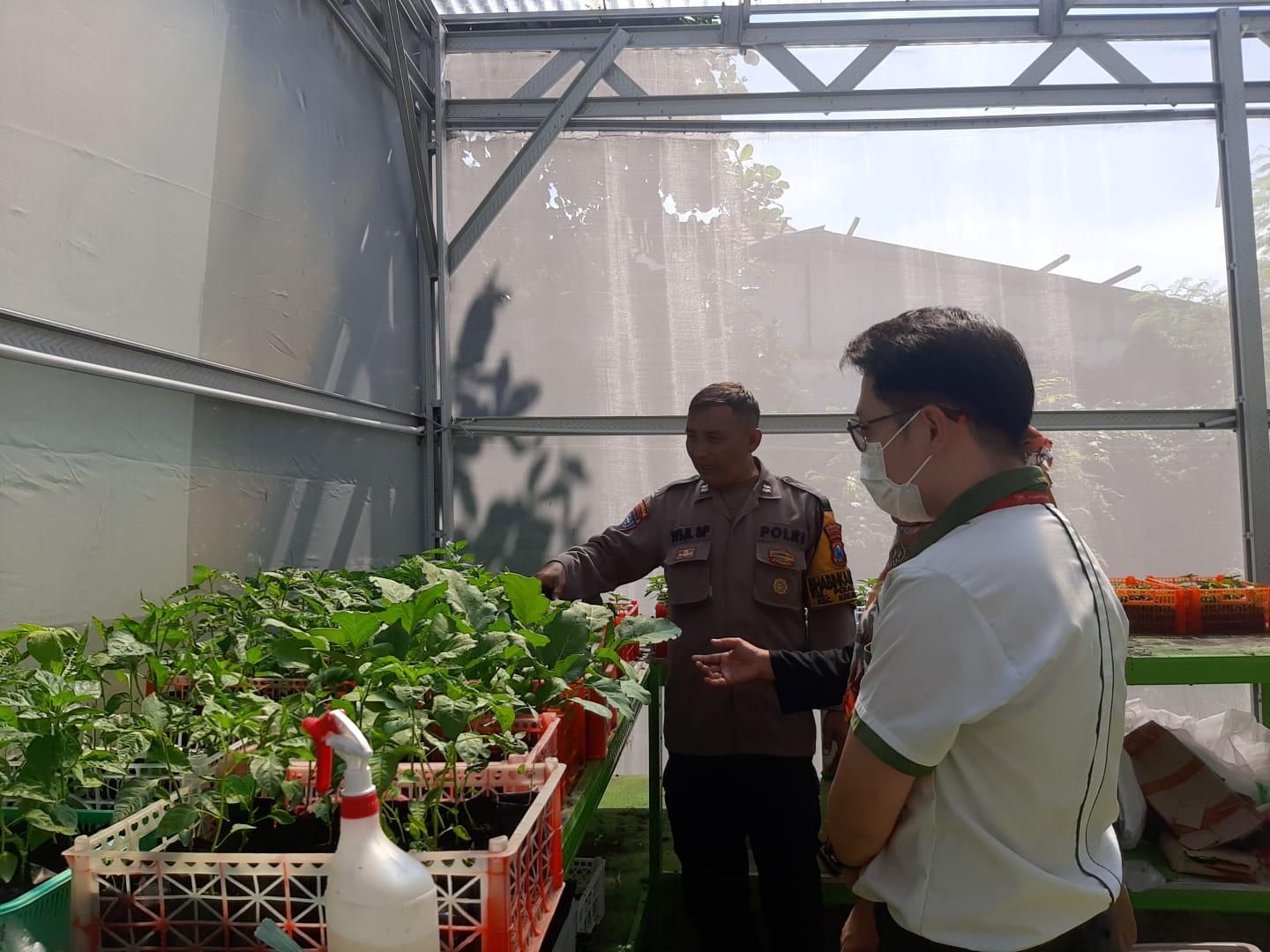Polres Pelabuhan Tanjung Perak Surabaya terus menunjukkan komitmennya dalam mendukung Program Ketahanan Pangan Polda Jawa Timur sekaligus menyukseskan Asta Cita Presiden