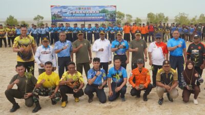 Kegiatan penanaman mangrove tersebut dipimpin oleh Komandan Kodaeral XI Laksda TNI Joko Andriyanto, S.T., M.Tr.Hanla., M.A.P. dan dihadiri oleh Gubernur Papua Selatan Prof. Dr Ir. Apolo Safanfo, Pangdam XXIV/MT Mayjen TNI Frist Wilem Rizard Pelamonia, S.E., Danlanud J.A. Dimara serta unsur Forkopimda Papua Selatan
