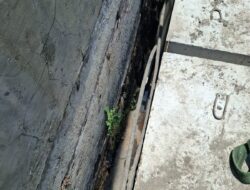 Mengurai Kejanggalan Proyek U-Ditch Petemon III, Indikasi Kelalaian Spesifikasi Berkedok Kejar Target