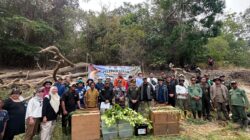 BKSDA Papua Lepas 11 Satwa Liar Hasil Habituasi ke Alam, Kodaeral XI Dukung Pelestarian Keanekaragaman Hayati