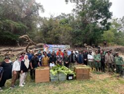 BKSDA Papua Lepas 11 Satwa Liar Hasil Habituasi ke Alam, Kodaeral XI Dukung Pelestarian Keanekaragaman Hayati
