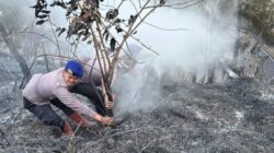Personel BKO Polda Jatim Gerak Cepat Padamkan Titik Api